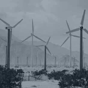 greenwashing to Green StoryDoing